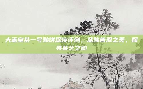 大盖皇茶一号熟饼深度评测,品味普洱之美,探寻茶艺之韵