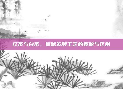 红茶与白茶,揭秘发酵工艺的奥秘与区别
