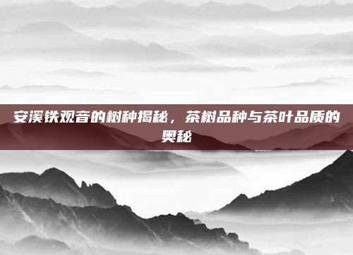 安溪铁观音的树种揭秘,茶树品种与茶叶品质的奥秘