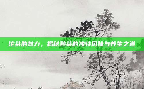 沱茶的魅力,揭秘熟茶的独特风味与养生之道