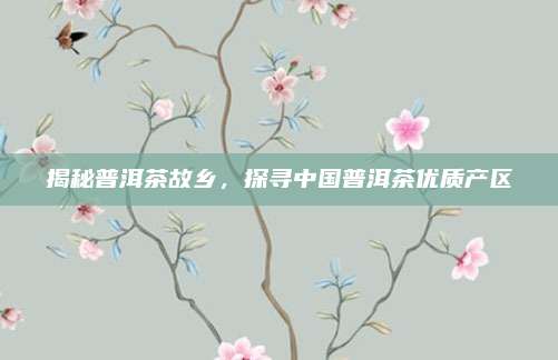 揭秘普洱茶故乡，探寻中国普洱茶优质产区