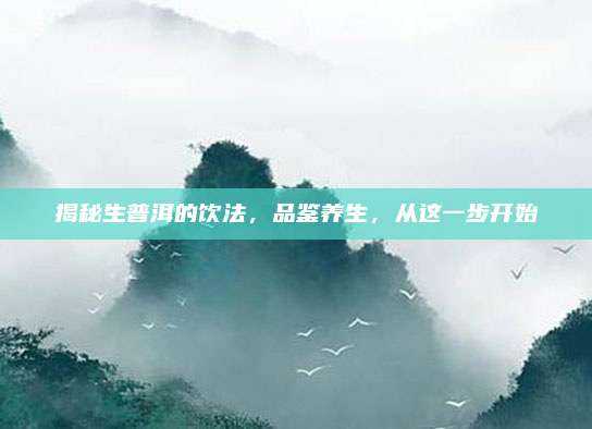 揭秘生普洱的饮法，品鉴养生，从这一步开始