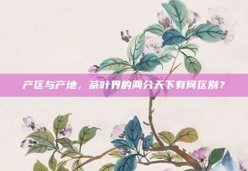 产区与产地,茶叶界的两分天下有何区别?