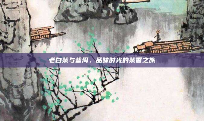 老白茶与普洱,品味时光的茶香之旅