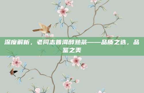 深度解析,老同志普洱醇熟茶——品质之选,品鉴之美