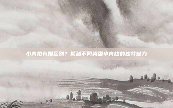 小青柑有啥区别?揭秘不同类型小青柑的独特魅力
