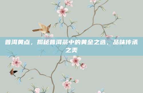 普洱黄点，揭秘普洱茶中的黄金之选，品味传承之美