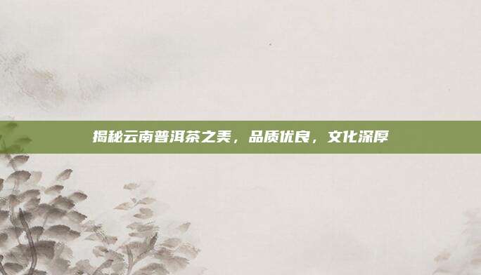 揭秘云南普洱茶之美,品质优良,文化深厚