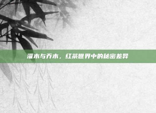 灌木与乔木,红茶世界中的秘密差异