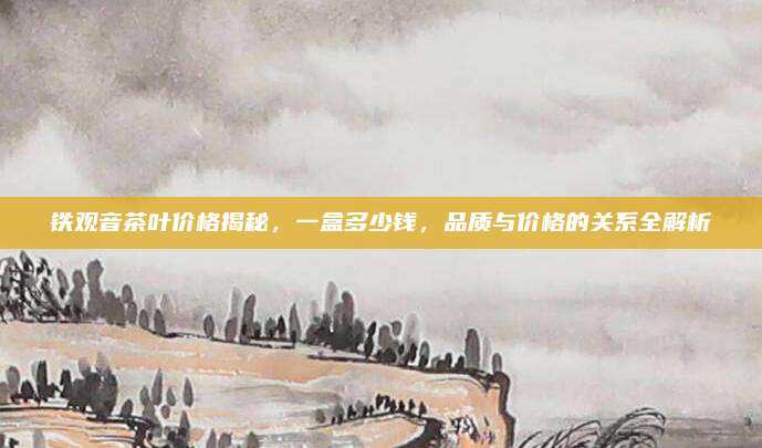 铁观音茶叶价格揭秘,一盒多少钱,品质与价格的关系全解析