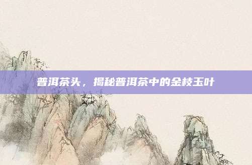 普洱茶头，揭秘普洱茶中的金枝玉叶
