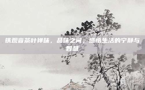 铁观音茶叶禅味，品味之间，感悟生活的宁静与智慧