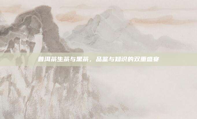 普洱茶生茶与黑茶，品鉴与知识的双重盛宴