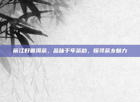 丽江好普洱茶，品味千年茶韵，探寻茶乡魅力