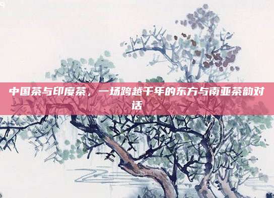 中国茶与印度茶，一场跨越千年的东方与南亚茶韵对话