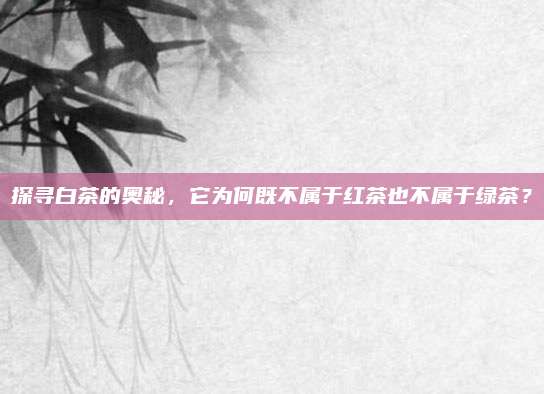 探寻白茶的奥秘,它为何既不属于红茶也不属于绿茶?