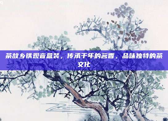 茶故乡铁观音盒装，传承千年的茗香，品味独特的茶文化