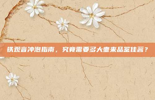 铁观音冲泡指南,究竟需要多大壶来品鉴佳茗?