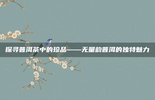 探寻普洱茶中的珍品——无量韵普洱的独特魅力