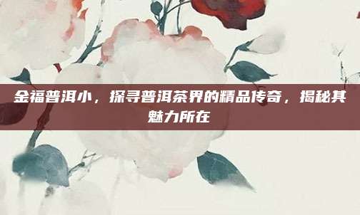 金福普洱小,探寻普洱茶界的精品传奇,揭秘其魅力所在