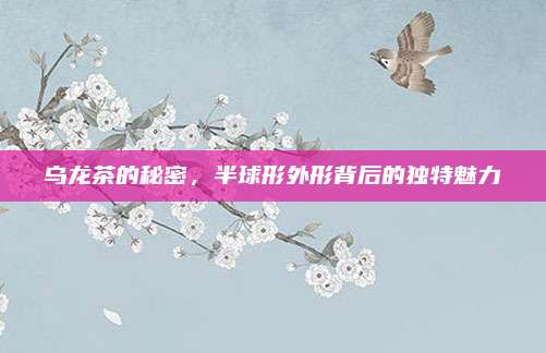 乌龙茶的秘密,半球形外形背后的独特魅力