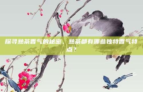 探寻熟茶香气的秘密,熟茶都有哪些独特香气特点?