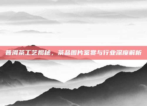 普洱茶工艺揭秘，茶品图片鉴赏与行业深度解析