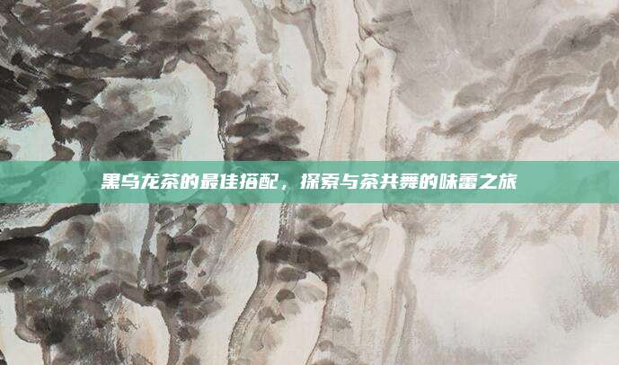 黑乌龙茶的最佳搭配,探索与茶共舞的味蕾之旅