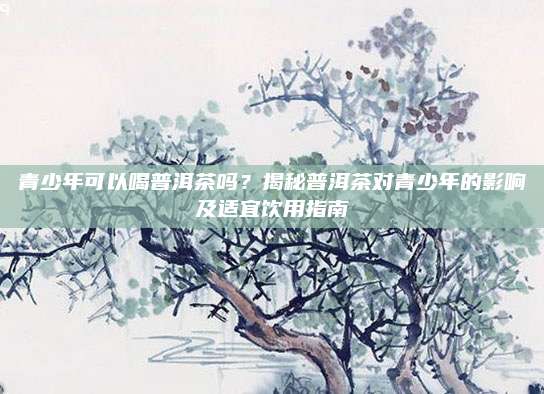 青少年可以喝普洱茶吗?揭秘普洱茶对青少年的影响及适宜饮用指南