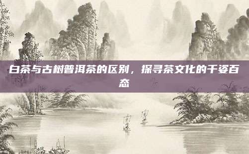 白茶与古树普洱茶的区别，探寻茶文化的千姿百态
