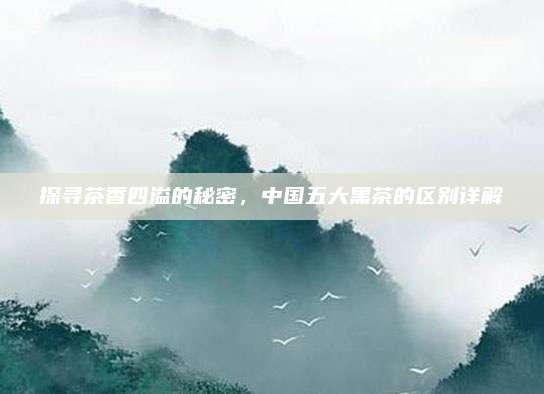 探寻茶香四溢的秘密,中国五大黑茶的区别详解
