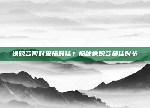 铁观音何时采摘最佳?揭秘铁观音最佳时节