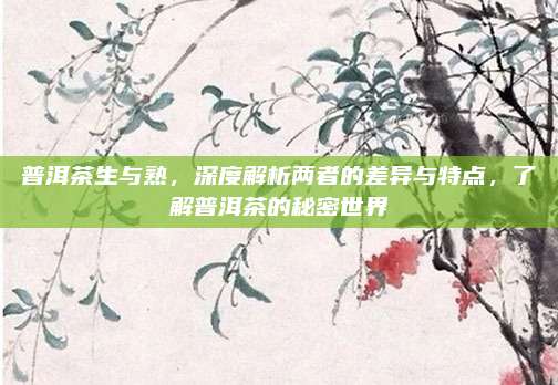 普洱茶生与熟，深度解析两者的差异与特点，了解普洱茶的秘密世界