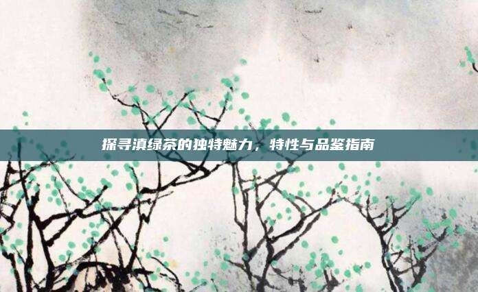 探寻滇绿茶的独特魅力，特性与品鉴指南