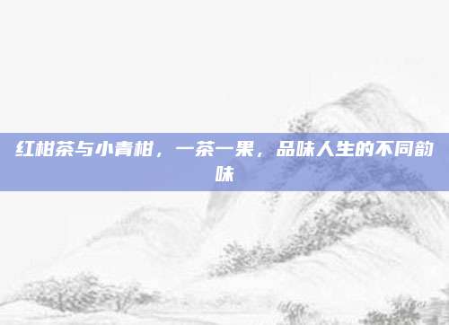 红柑茶与小青柑,一茶一果,品味人生的不同韵味