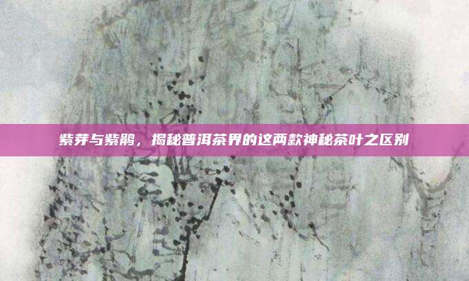 紫芽与紫鹃,揭秘普洱茶界的这两款神秘茶叶之区别