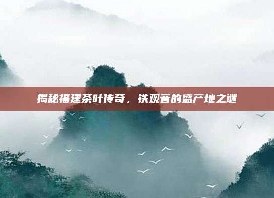 揭秘福建茶叶传奇，铁观音的盛产地之谜