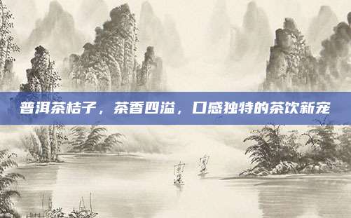 普洱茶桔子，茶香四溢，口感独特的茶饮新宠