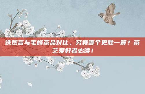 铁观音与毛峰茶品对比，究竟哪个更胜一筹？茶艺爱好者必读！