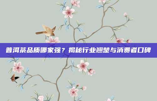 普洱茶品质哪家强?揭秘行业翘楚与消费者口碑