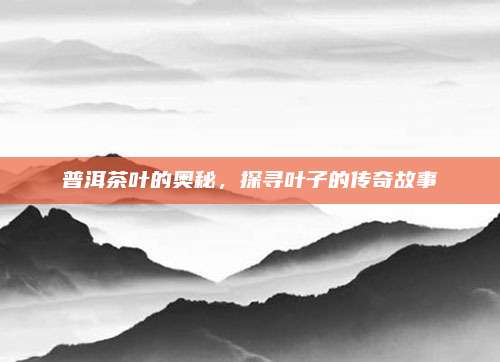 普洱茶叶的奥秘，探寻叶子的传奇故事