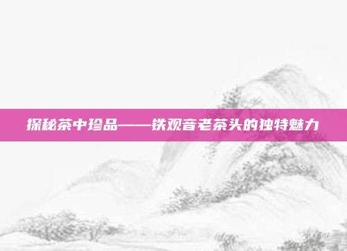 探秘茶中珍品——铁观音老茶头的独特魅力