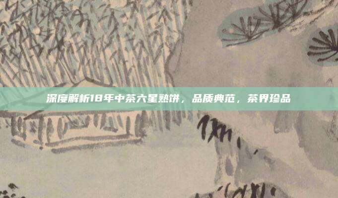 深度解析18年中茶六星熟饼,品质典范,茶界珍品
