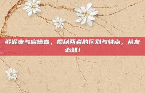 缎泥壶与底槽青,揭秘两者的区别与特点,茶友必知!
