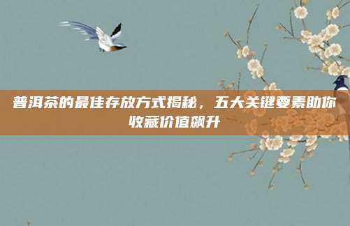 普洱茶的最佳存放方式揭秘，五大关键要素助你收藏价值飙升