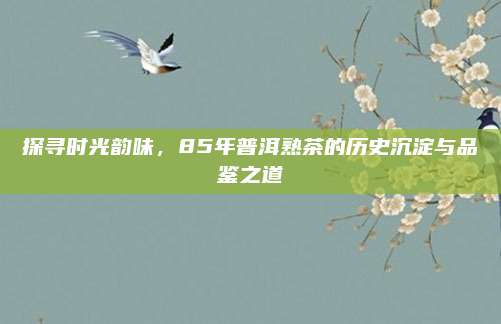 探寻时光韵味，85年普洱熟茶的历史沉淀与品鉴之道