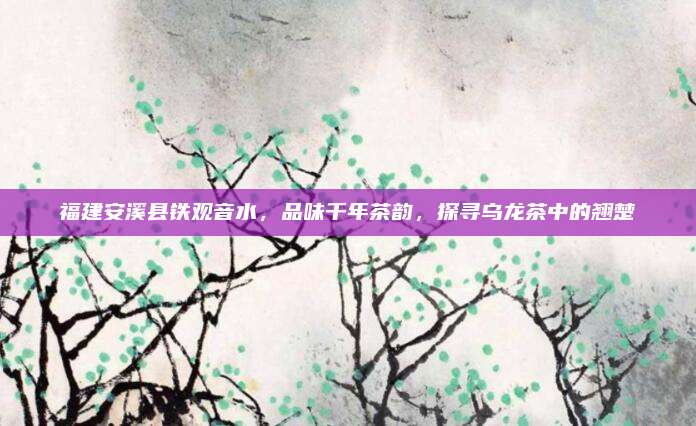 福建安溪县铁观音水,品味千年茶韵,探寻乌龙茶中的翘楚