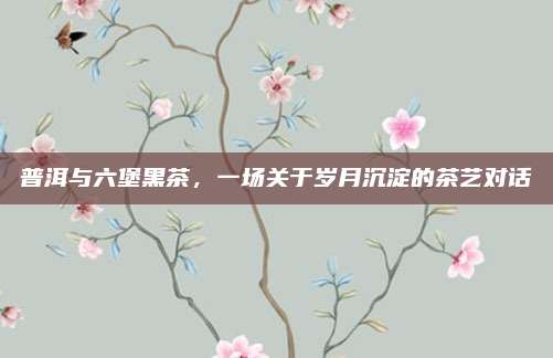 普洱与六堡黑茶，一场关于岁月沉淀的茶艺对话