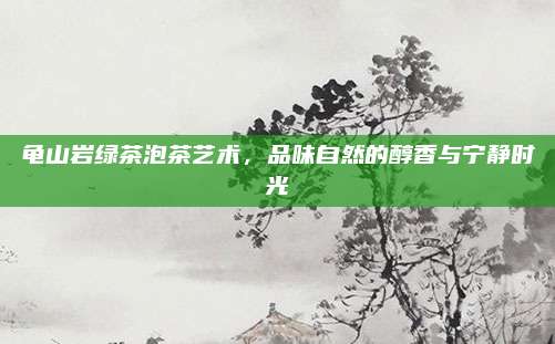 龟山岩绿茶泡茶艺术，品味自然的醇香与宁静时光