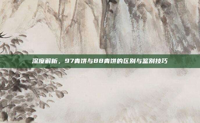 深度解析,97青饼与88青饼的区别与鉴别技巧